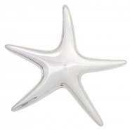 JOBO Anh�nger Seestern 925 Sterling Silber rhodiniert