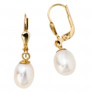 JOBO Boutons 585 Gold Gelbgold 2 S��wasser Perlen Ohrringe Ohrh�nger Perlenohrringe
