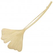 JOBO Brosche Ginko Ginkgo 375 Gold Gelbgold Goldbrosche